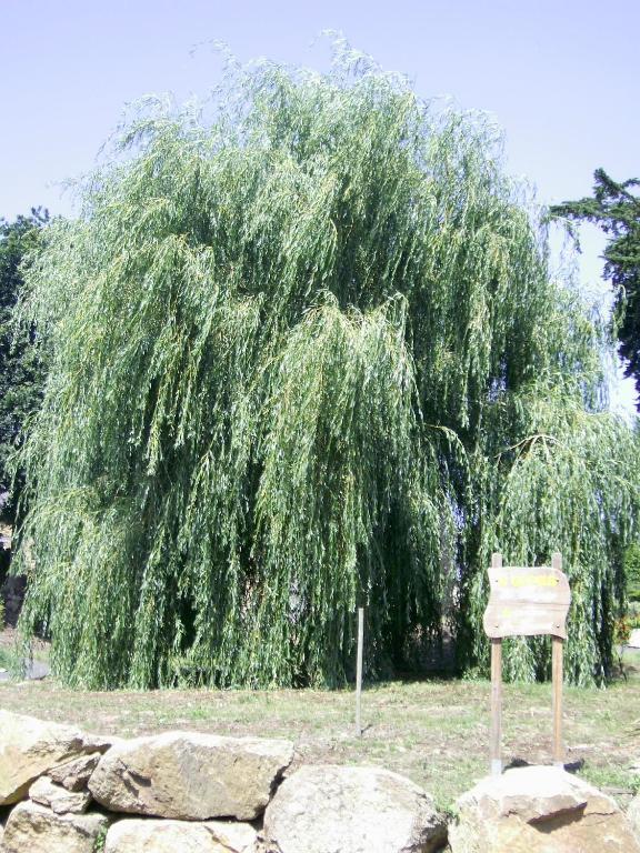 Вилла La Bergerie Camlez Экстерьер фото
